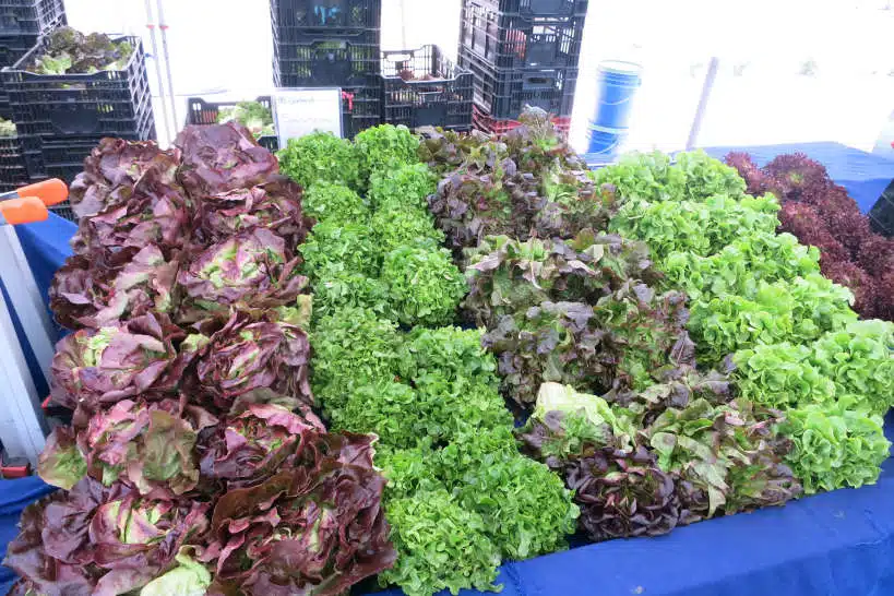 Crenshaw Market Farmers Market Los Angeles by Authentic Food Quest