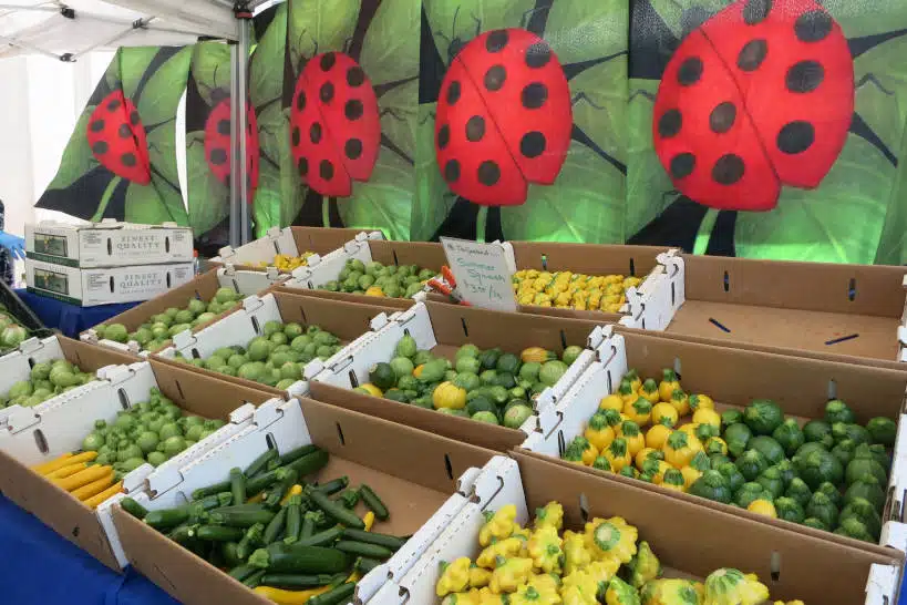 Echo Park Farmers Market Los Angeles Farmers Markets by Authentic Food Quest