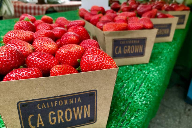 Main Street Santa Monica Farmers Market In Los Angeles by Authentic Food Quest