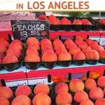 Pinterest Los Angeles Farmers Markets by Authentic Food Quest