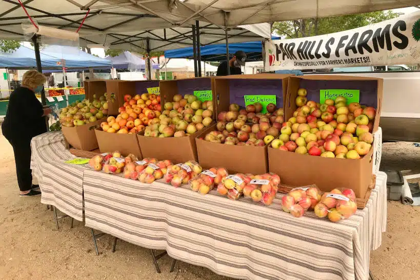 Santa Monica Organic Farmers Market Farmers Market Los Angeles Authentic Food Quest