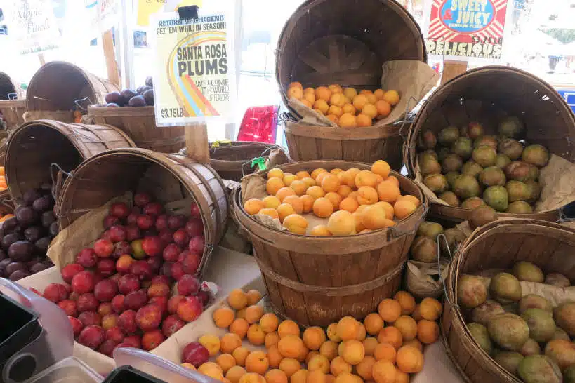 Silver Lake Best Farmers Market Los Angeles by Authentic Food Quest