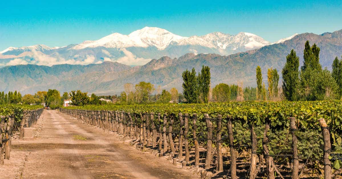Guide To Mendoza Wine Regions: 12 of The Best Wineries To Visit