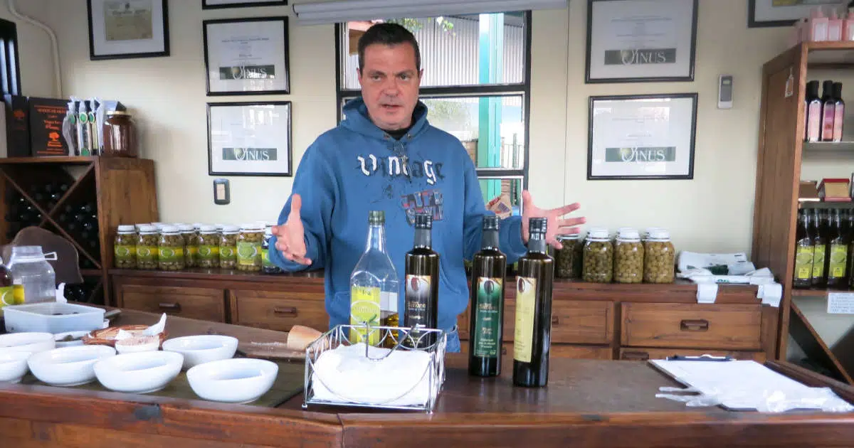 Top Olive Oil Tours Mendoza: Taste The Best Of Argentina Green Gold