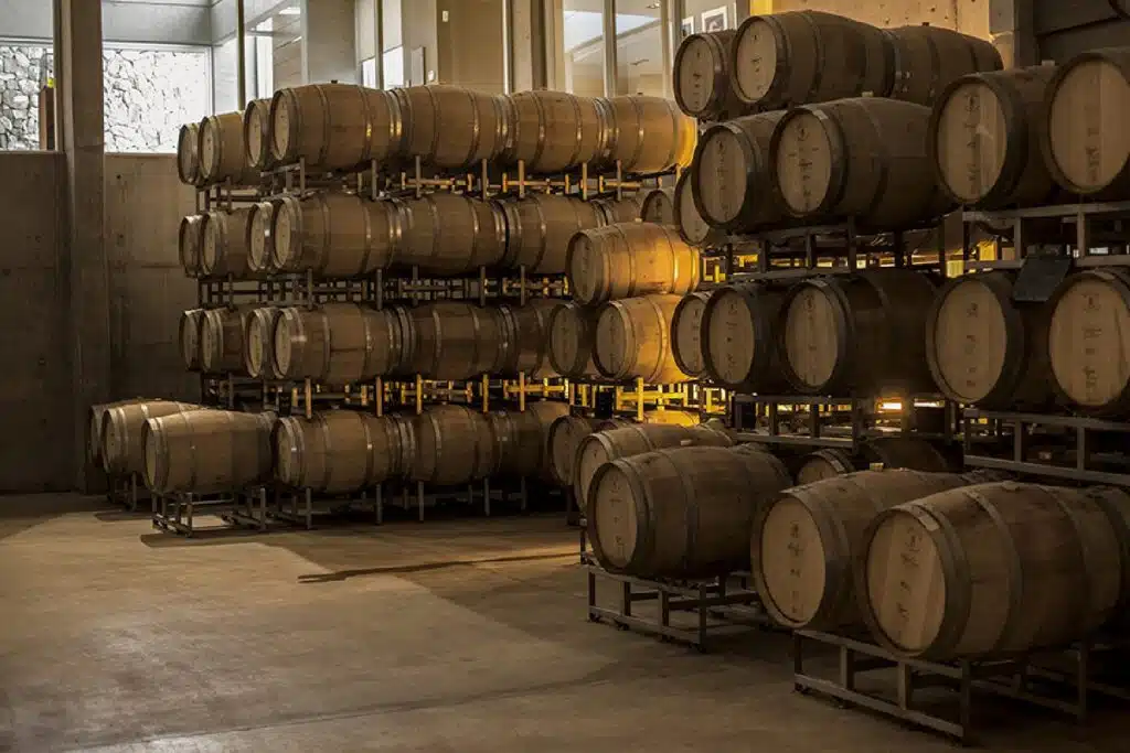 Bodega Bodeguer Mendoza Wine Regions by Authentic Food Quest