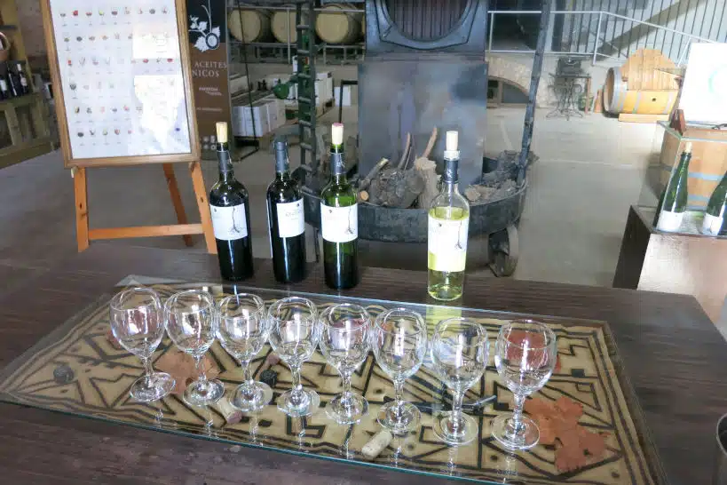 Bodega Cecchin Mendoza Wine Regions by Authentic Food Quest