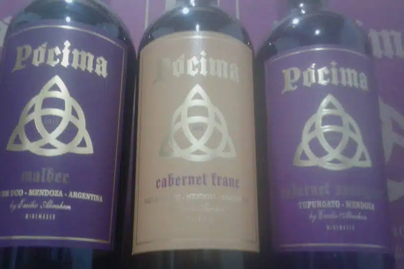 Bodega Pocima Wine Regions Mendoza by Authentic Food Quest