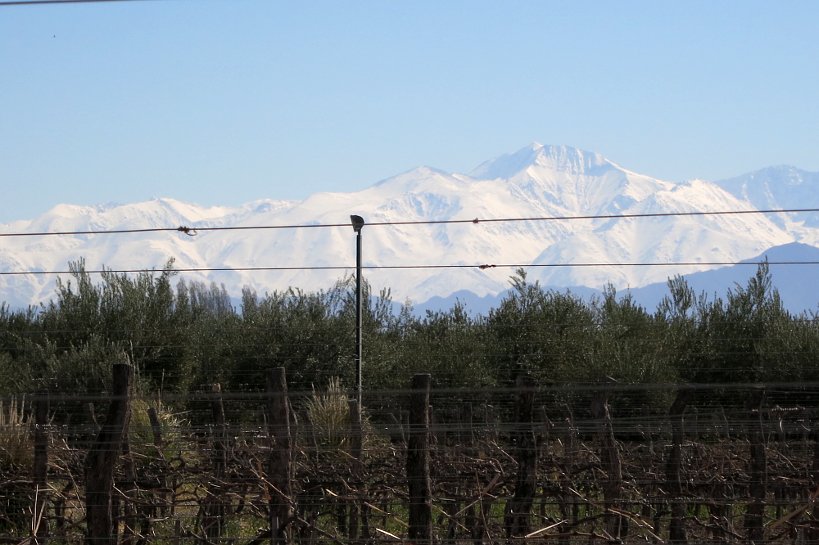 Discovering Mendoza Wine Regions