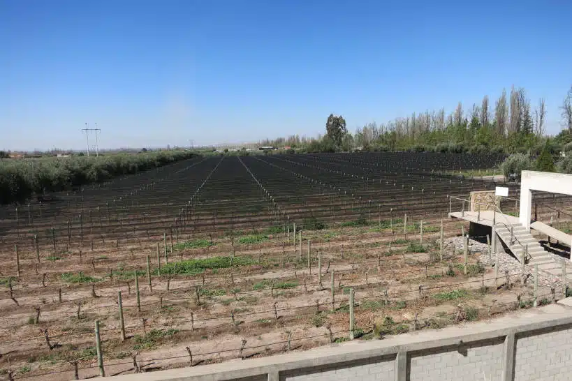 Maipu Valley Mendoza Wine Regions by Authentic Food Quest
