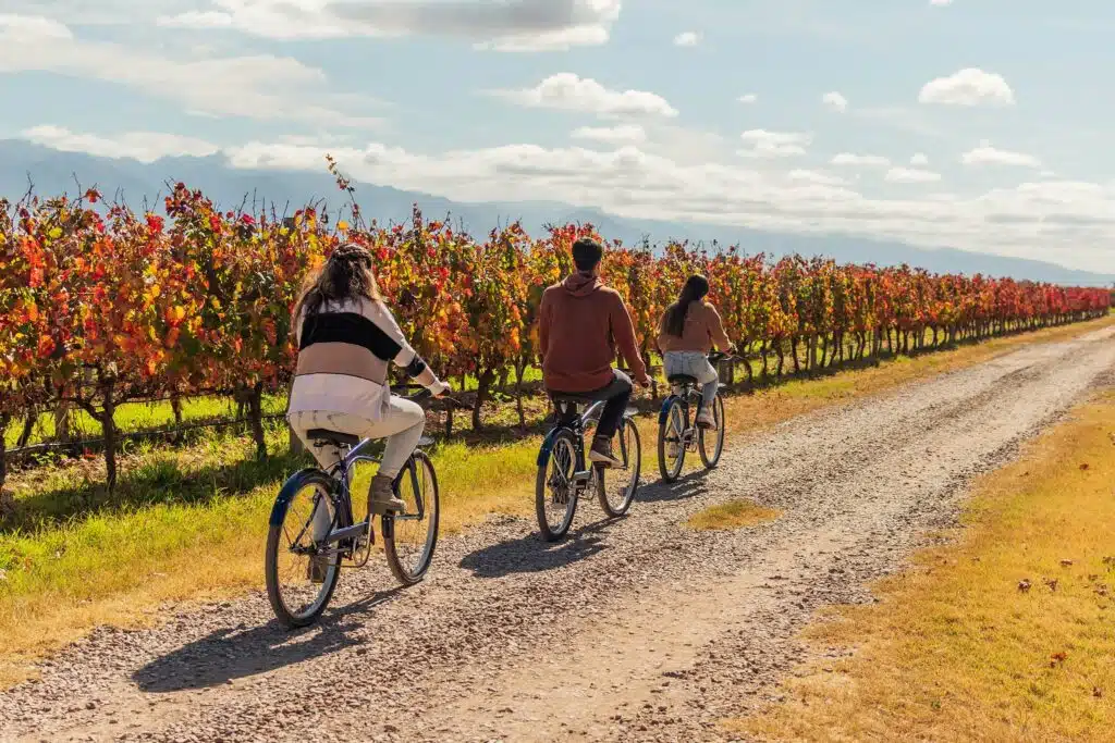 Ojo de agua Wineries Mendoza by Authentic Food Quest
