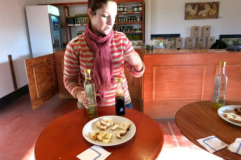 Olivicola Pasrai One of The Best Olive Oil Tours Medoza by AuthenticFoodQuest