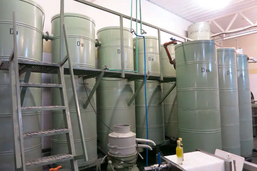 Pasrai Olive Oil Factory Olive Oil Tour Mendoza by AuthenticFoodQuest