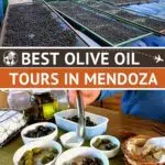 Pinterest Argentina Olive Oil by Authentic Food Quest