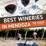Best Wineries In Mendoza by Authentic Food Quest