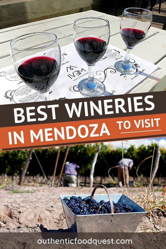 Best Wineries In Mendoza by Authentic Food Quest
