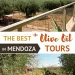 Pinterest Olive Oil Argentina by Authentic Food Quest