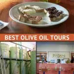 Pinterest Olive Oil Tour Mendoza by Authentic Food Quest