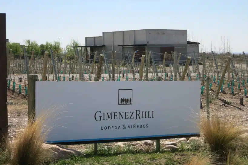 Tours Mendoza Wine Regions Authentic Food Quest