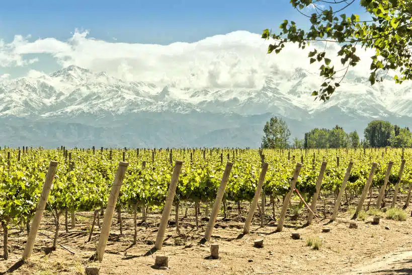 Uco Valley Best Wineries In Mendoza by Authentic Food Quest