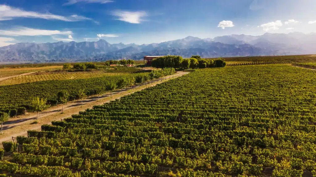 Zorzal Mendoza Wineries by Authentic Food Quest