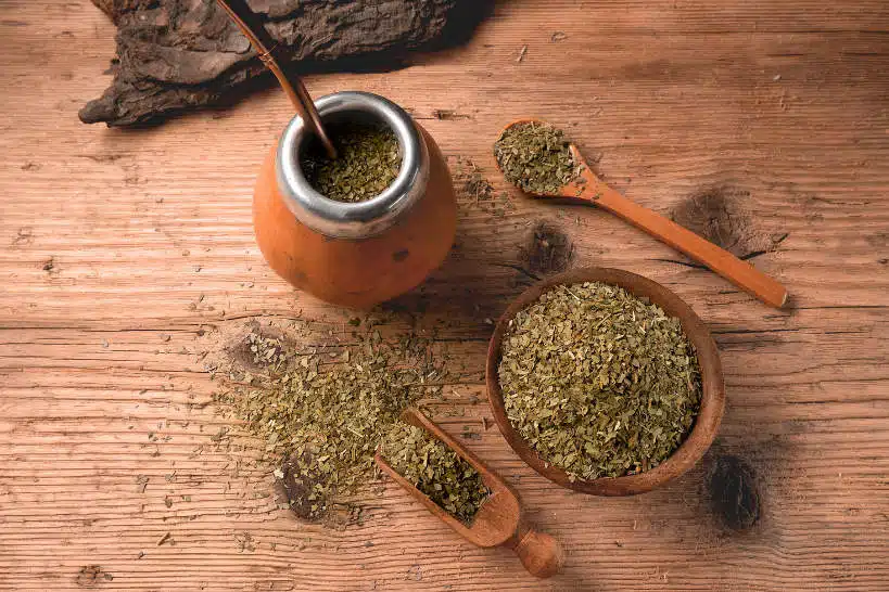 Yerba Mate Uruguay Way: How To Prepare Mate And Its Cultural Significance