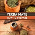 Pinterest Yerba Mate Uruguay by Authentic Food Quest