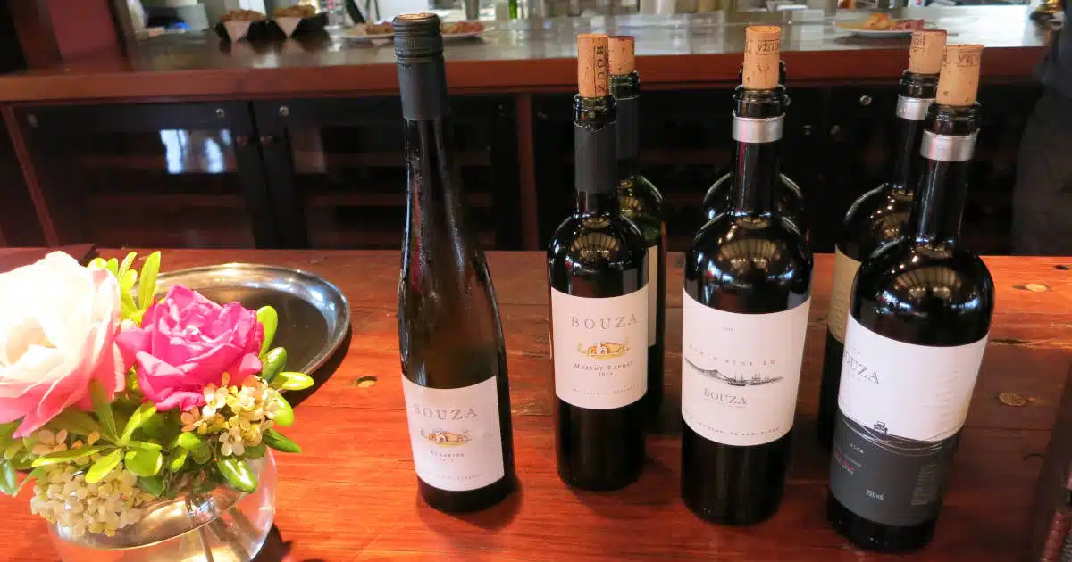 Bodega Bouza by Authentic Food Quest