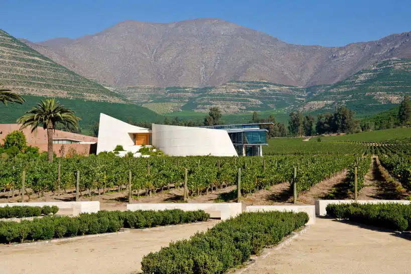 Acongagua Valley Wine Regions Chile by Authentic Food Quest
