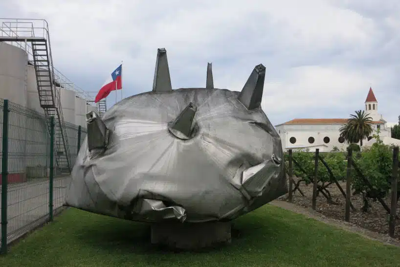 Balduzzi Winery Wine Regions Chile by Authentic Food Quest