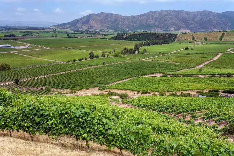 Colchagua Wine Region Chile by Authentic Food Quest