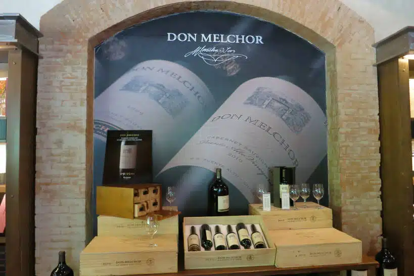 Concha y Toro Chilean Wine Regions Authentic Food Quest