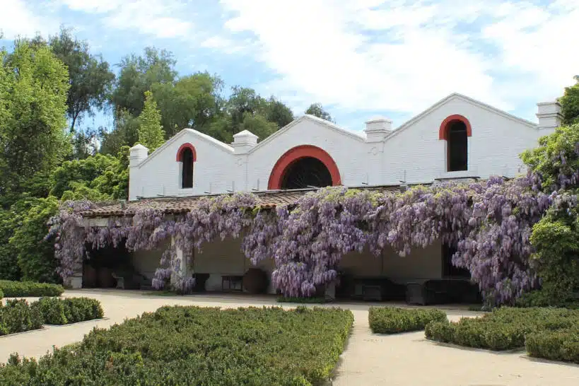 Errazuriz Wines Wine Region Chile by Authentic Food Quest