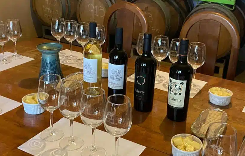 Flaherty Wines Wine Regions Chile by Authentic Food Quest