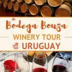 Pinterest Bodega Bouza Uruguay by Authentic Food Quest