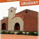 Pinterest Bodega Bouza by Authentic Food Quest