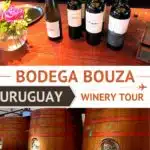 Pinterest Bouza Winery by Authentic Food Quest