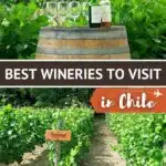 Pinterest Chile Wine Region by Authentic Food Quest