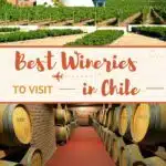 Pinterest Chile Wine Regions by Authentic Food Quest