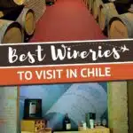 Pinterest Chilean Wine Regions by Authentic Food Quest