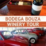 Pinterest Uruguay Winery by Authentic Food Quest