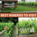Pinterest Wine Region Chile by Authentic Food Quest