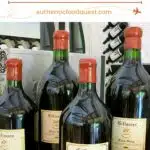 Pinterest Wine Regions Of Chile by Authentic Food Quest