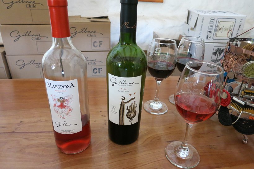 First Impressions of Chile and the Maule Valley Wines 10