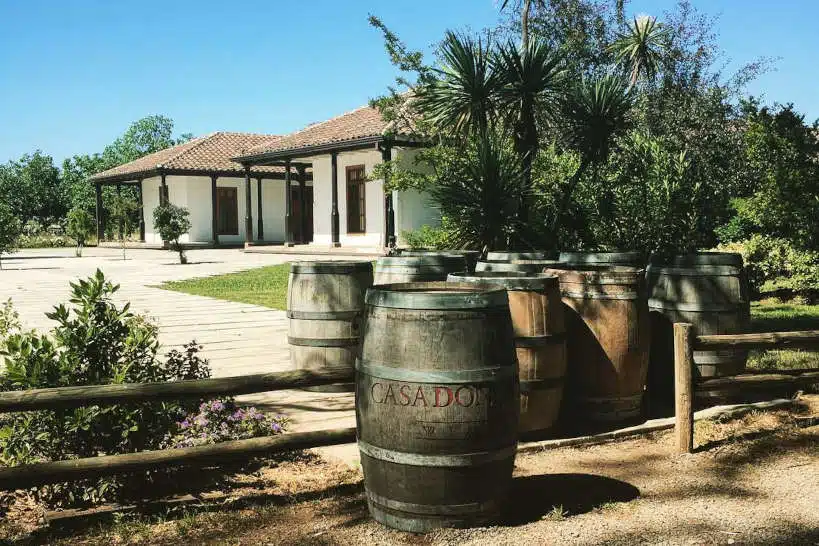 Viña Casa Donoso Wine Region Chile by Authentic Food Quest