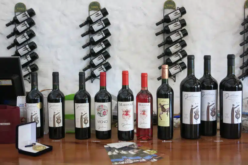 Wine Bottles Chile Wine Regions Authentic Food Quest