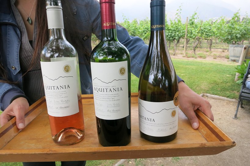 Chile Wines Aquitania Tasting