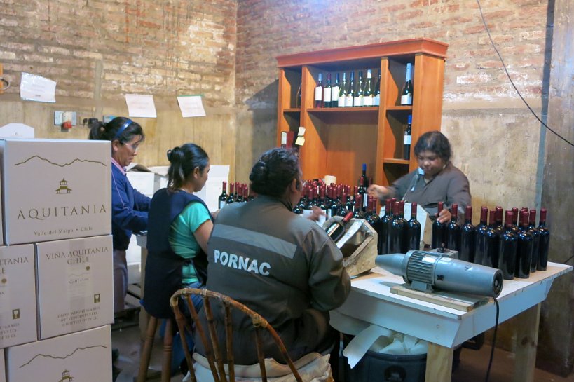 Chile Red Wines Vina Aquitania