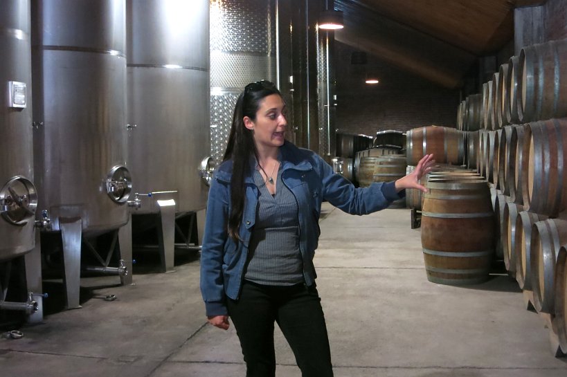 Chile Wines Vina Aquitania cellars
