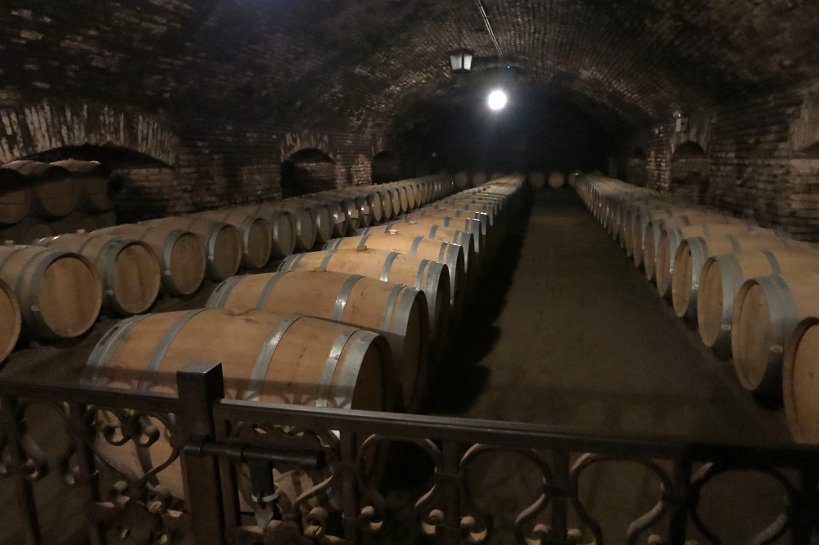 Chile Wines at Concha y Toro