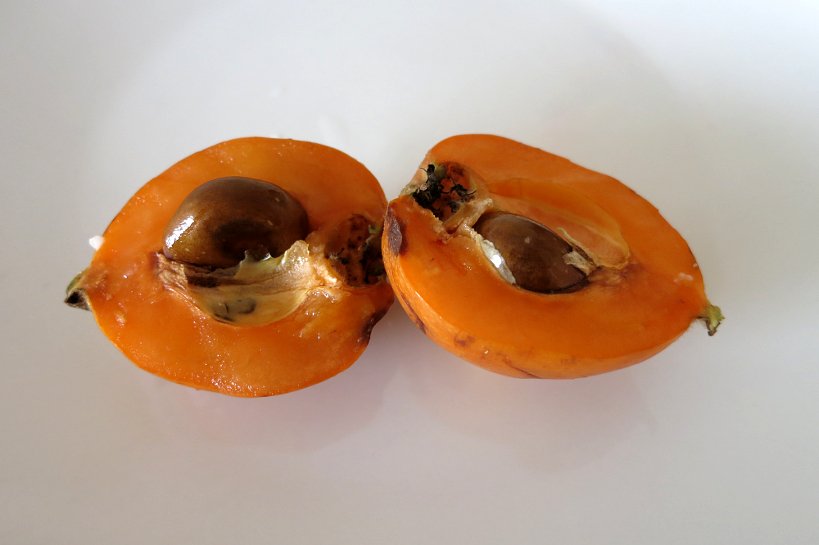 10 Surprising Exotic Chilean Fruits You’ll Want To Taste 1